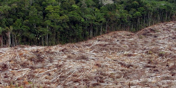 deforestacionamazoniabr