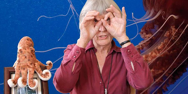 donnaharaway