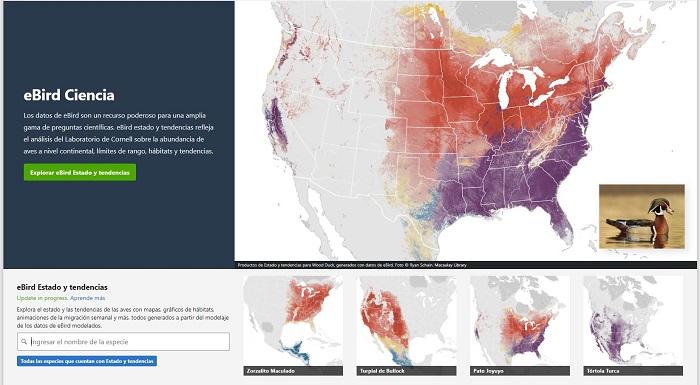 ebird programa