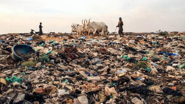 ecologiaverde
