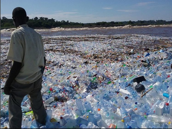 Fotos galardonadas demuestran el catastrófico impacto del plástico en los  mares