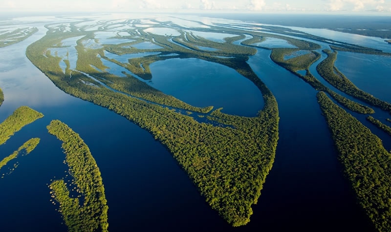 foto del rio amazonas