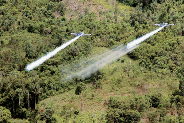 fumigacionavio 1 ok