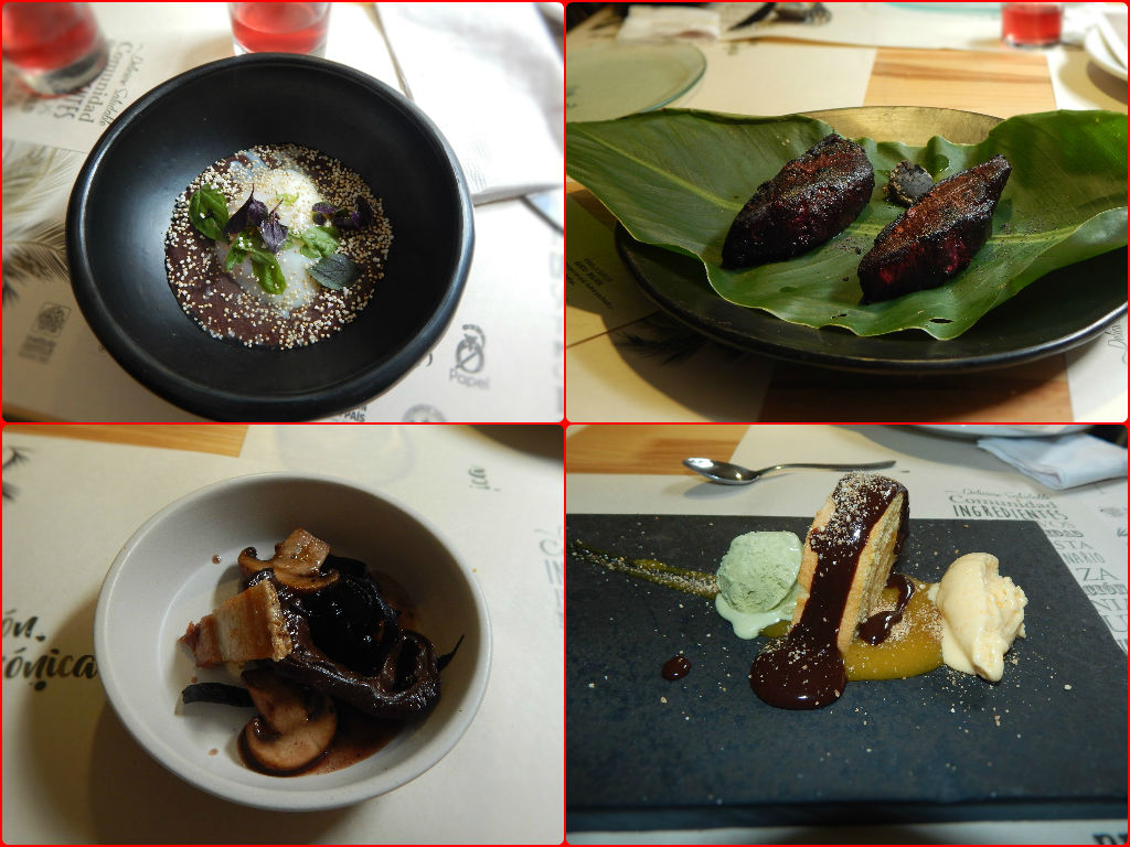 gastronomia amazonica