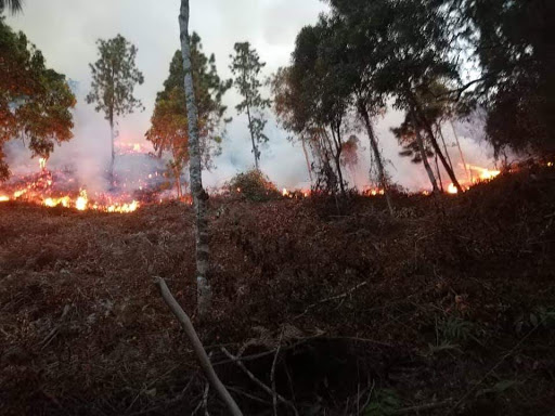 gobsanincendios