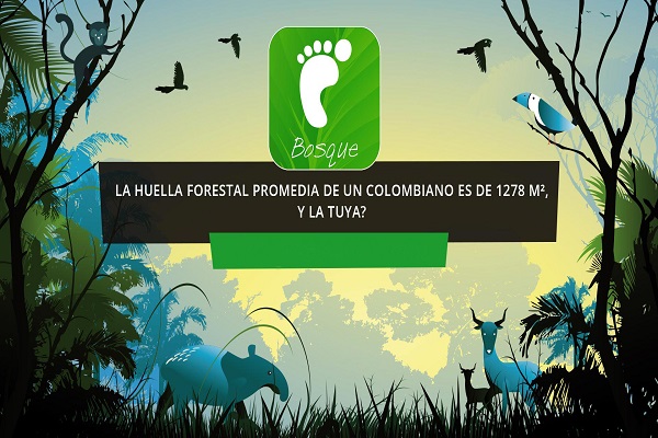 huella forestal sin 600