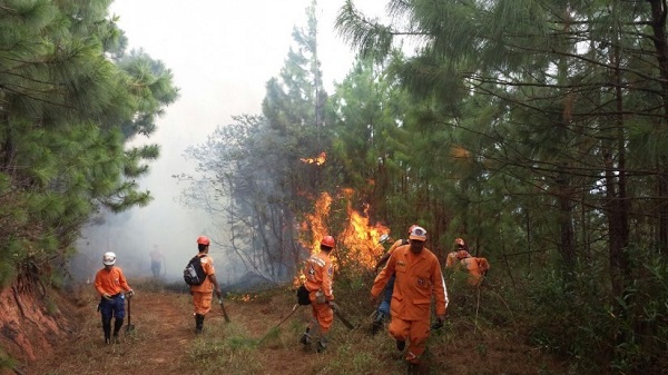 incendio forestal colombia