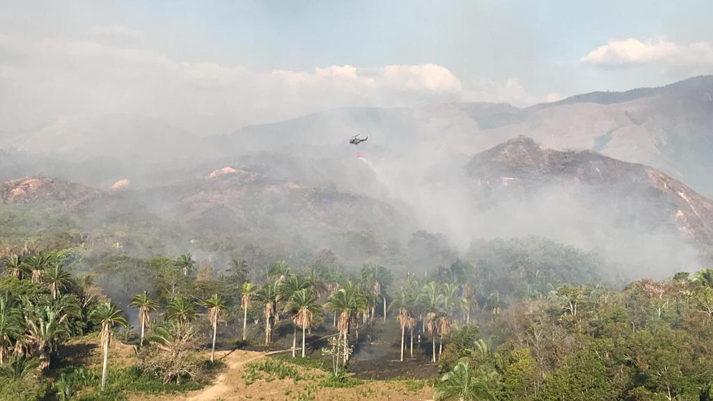 incendiocarmendeapicala