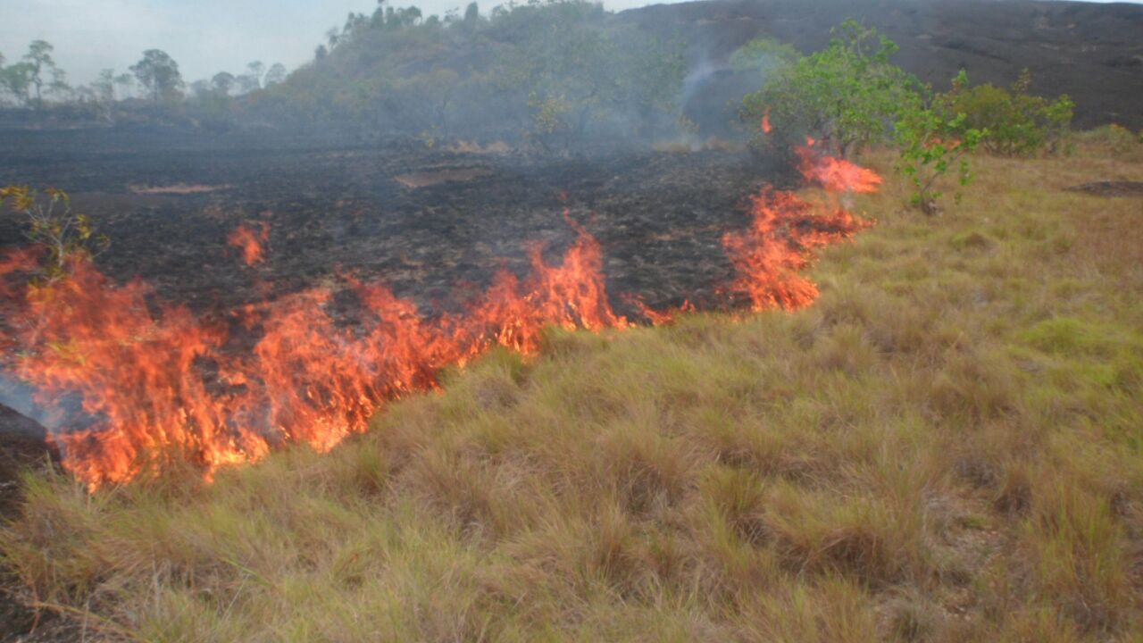 incendioparques
