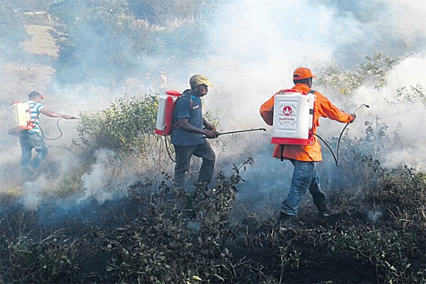 incendios magdalena