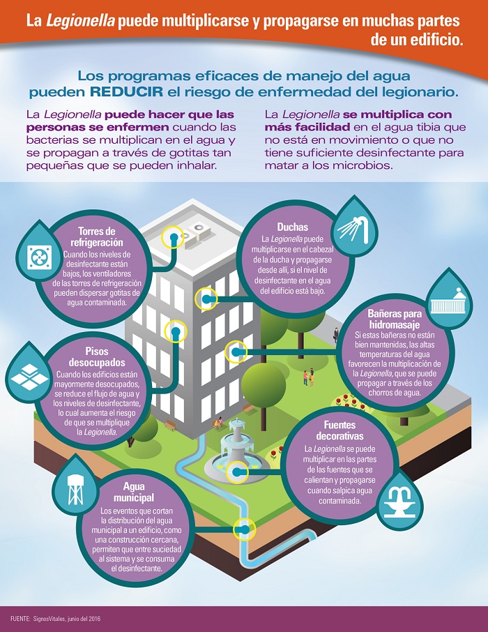 infografia legionella