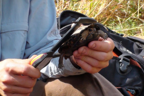 investigacion biodiversidad 600