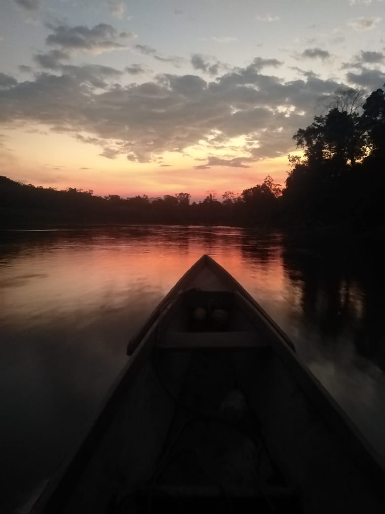 lagoisa