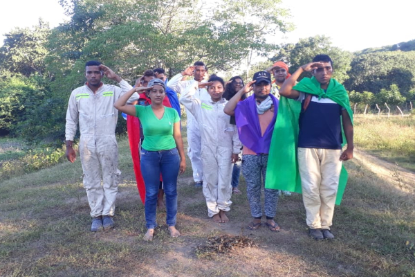 ligaabejas600