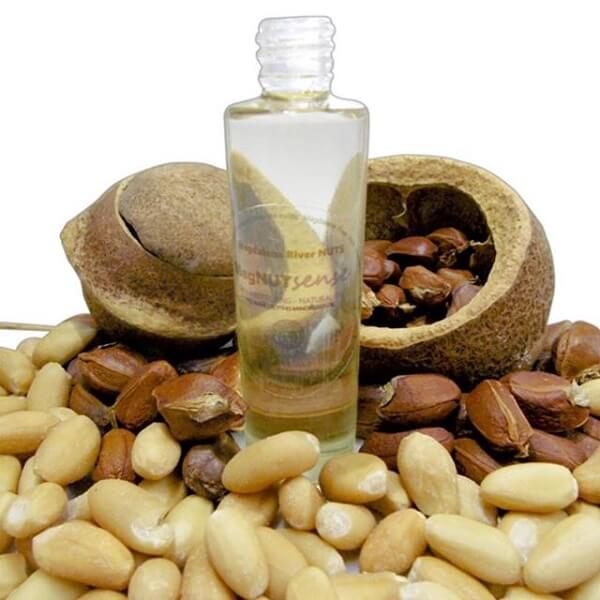 magdalena river nuts 6