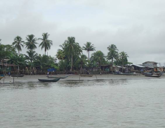 maguipi
