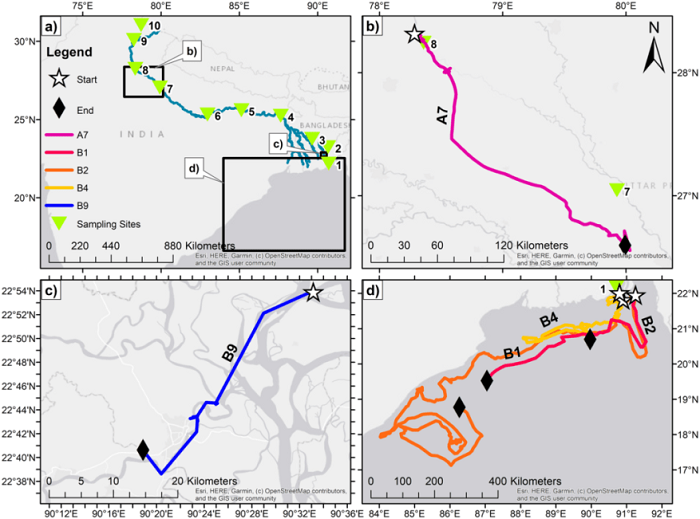 mapas botellas plasticas