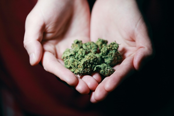 marihuana medicinal 2