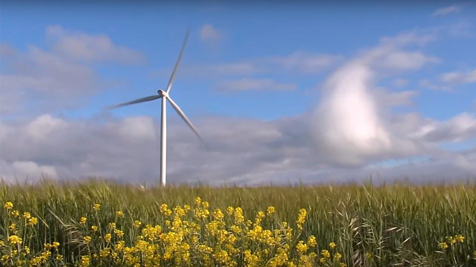 molinoenergia