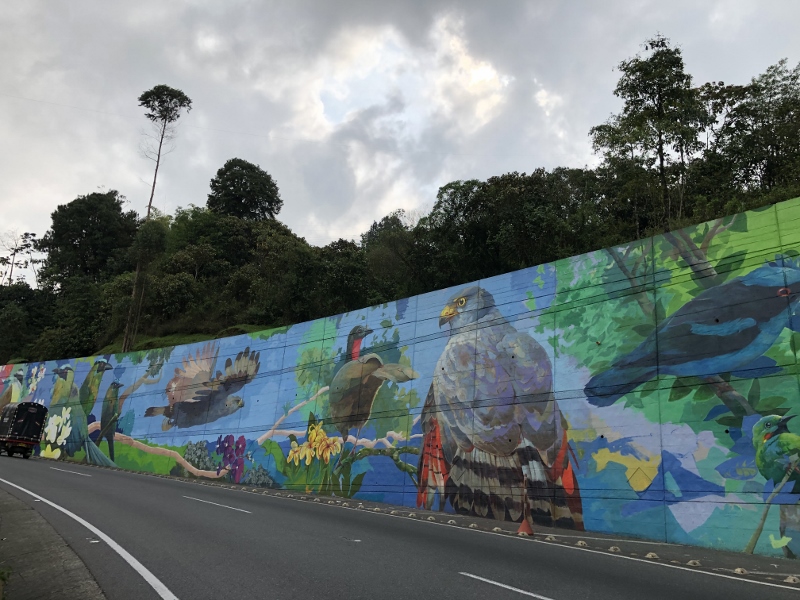 mural 2 aves