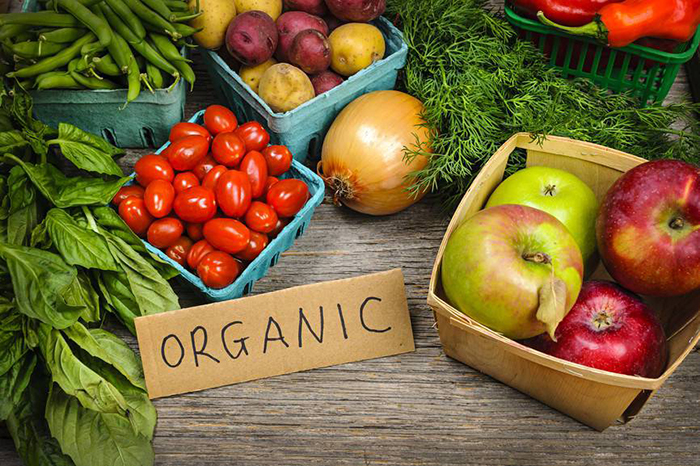 organicproductos
