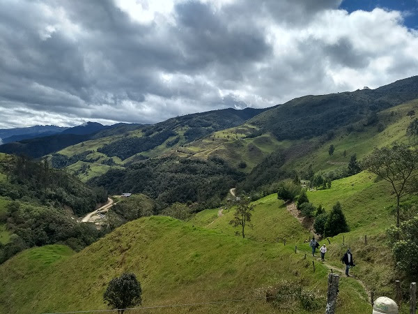 paramoganaderia