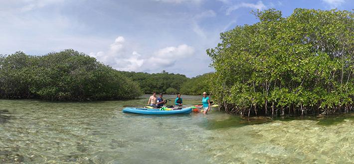 parque regional de mangle old point