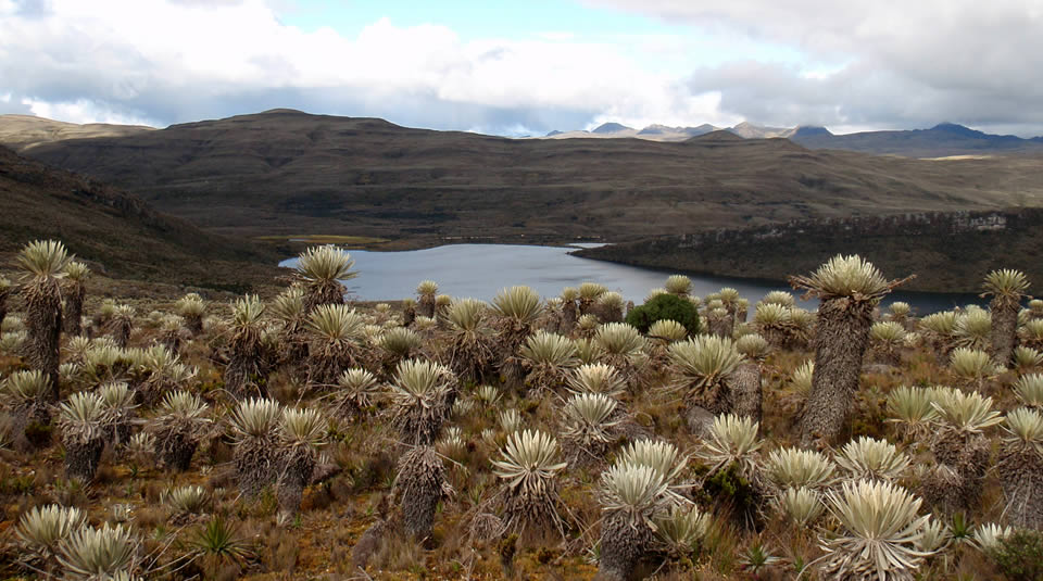 parques n sumapaz