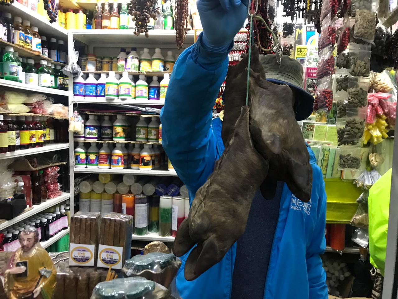 pata
