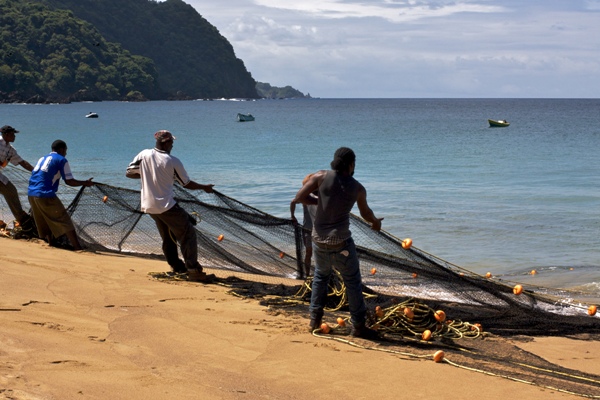 pesca 600 flickr