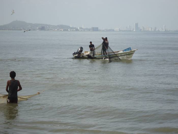 pescadoreslaboquilla