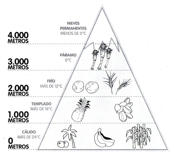 pisosdiagrama