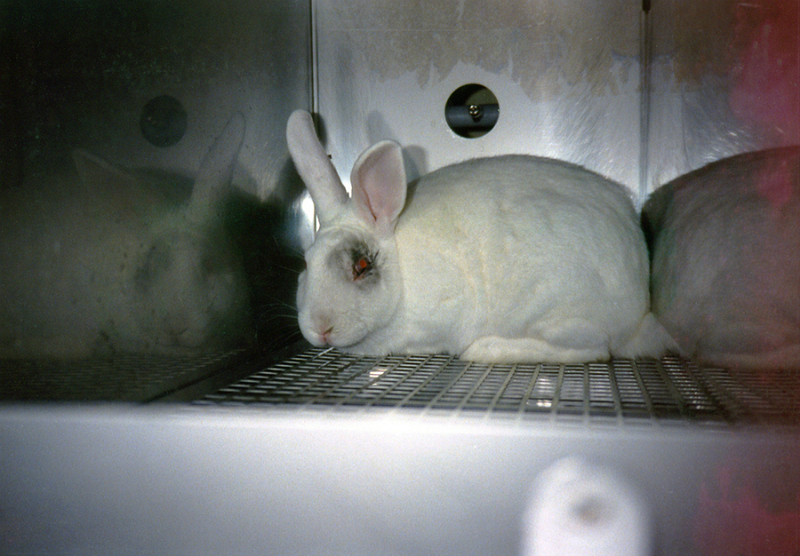 pranimales cosmeticos