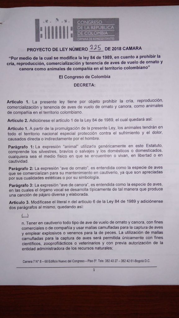 proyecto 1
