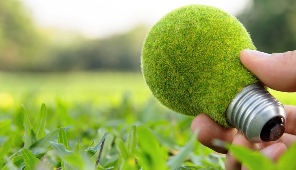 que es ecologia dia mundial de la ecologia