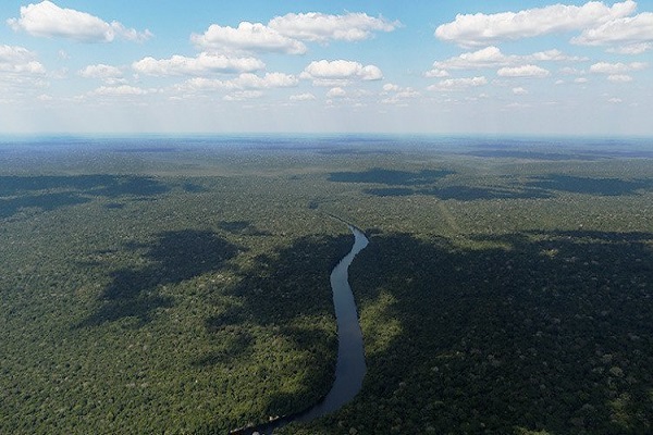reserva nacional del cobre y asociados renca