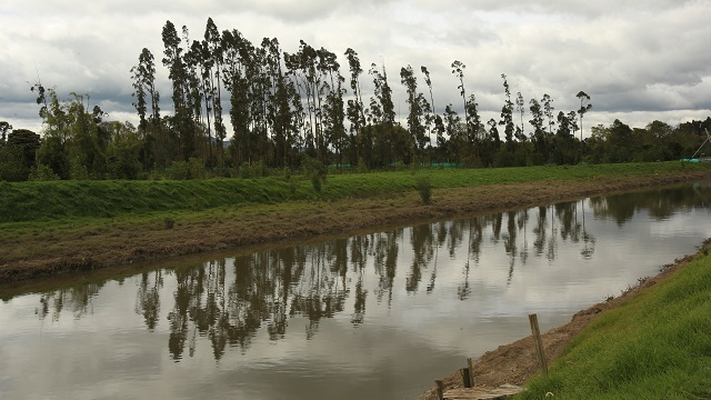 riobogotaoficial