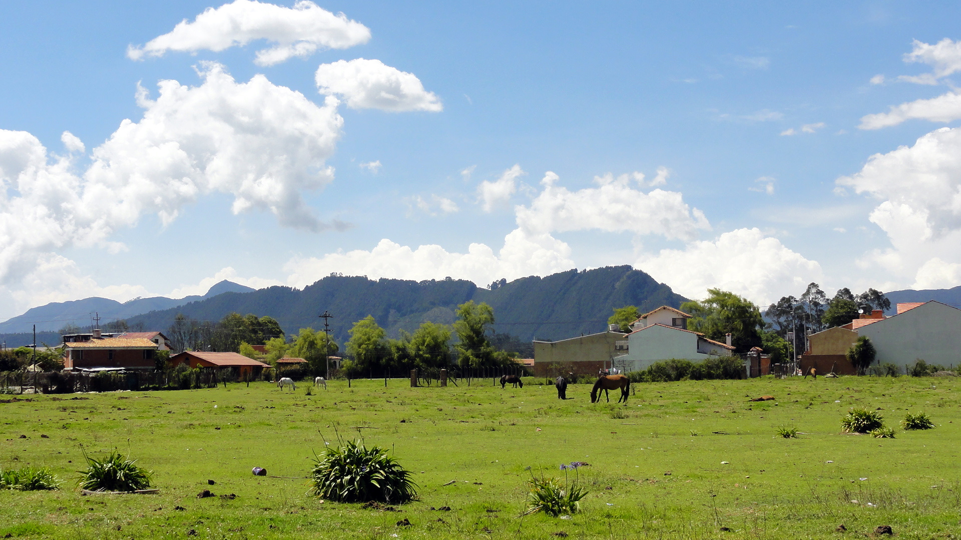 sabana de bogota