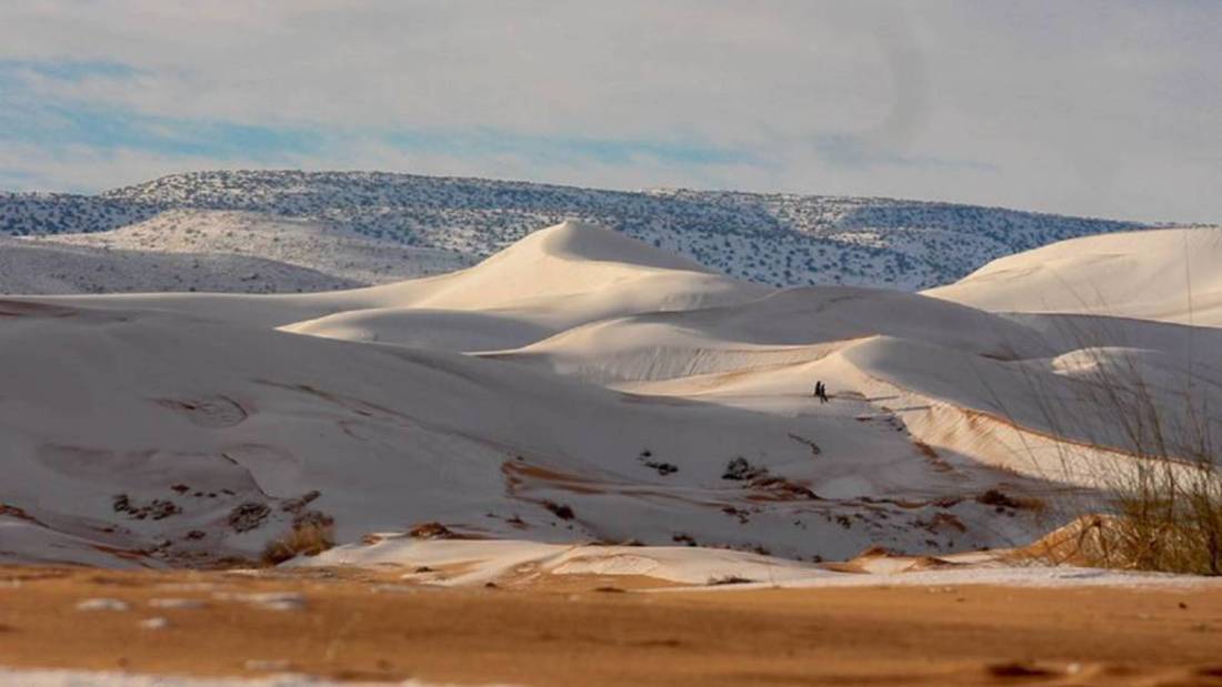 sahara nieve