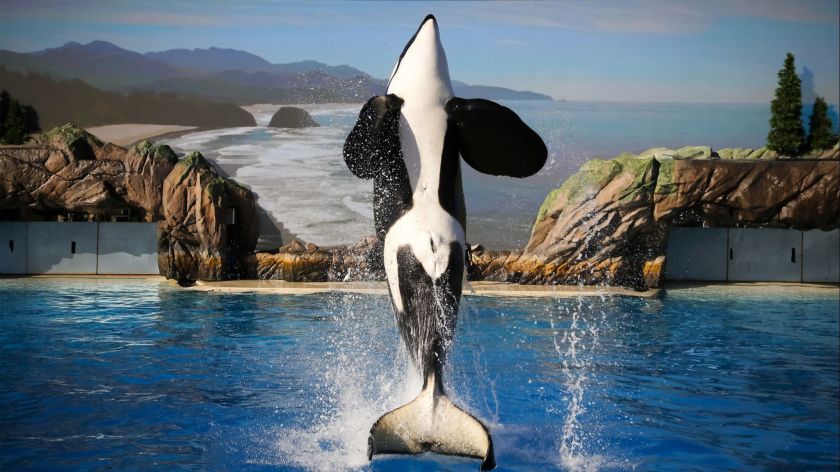 seaworld