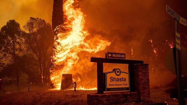 shasta wildfire