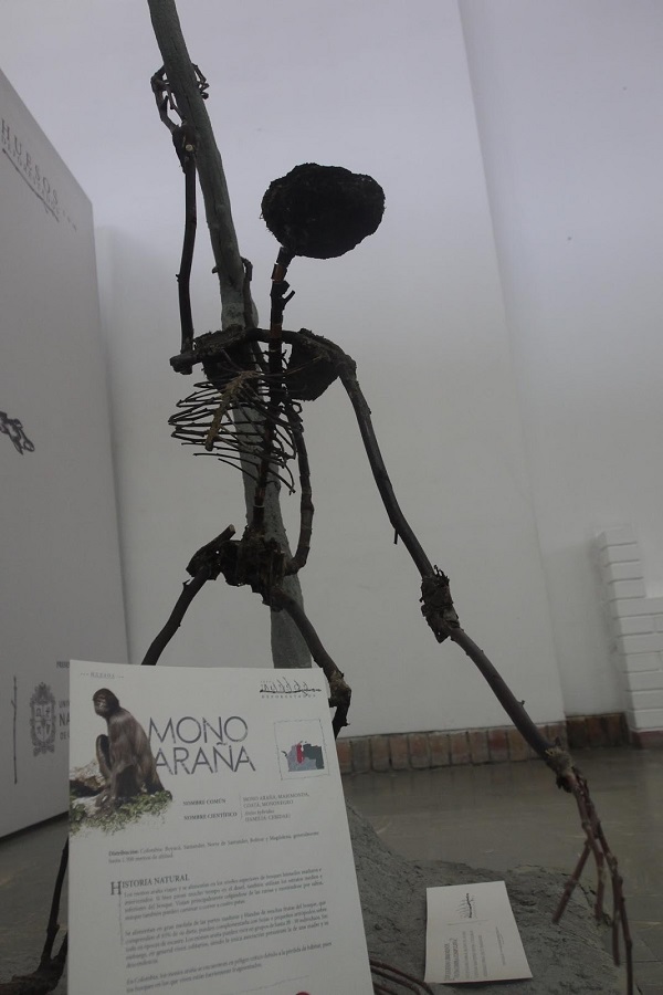skeletal spider monkey