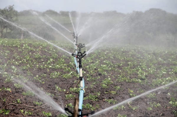 tasa de uso de agua 600 