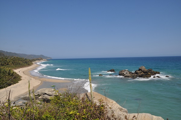 tayrona 600 