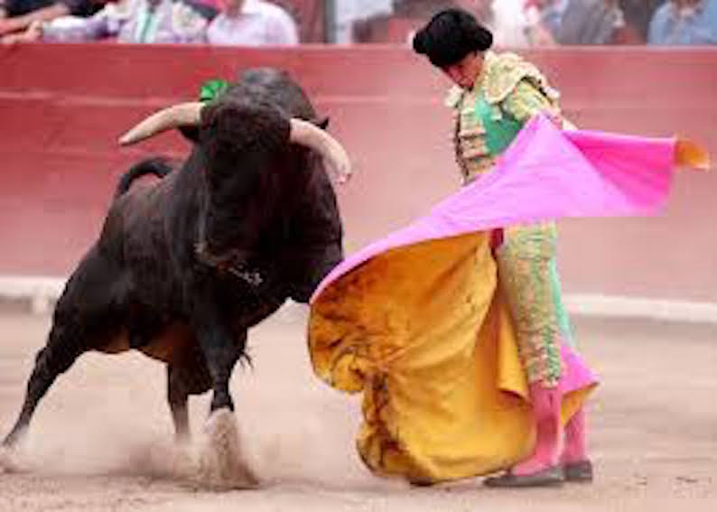 toros