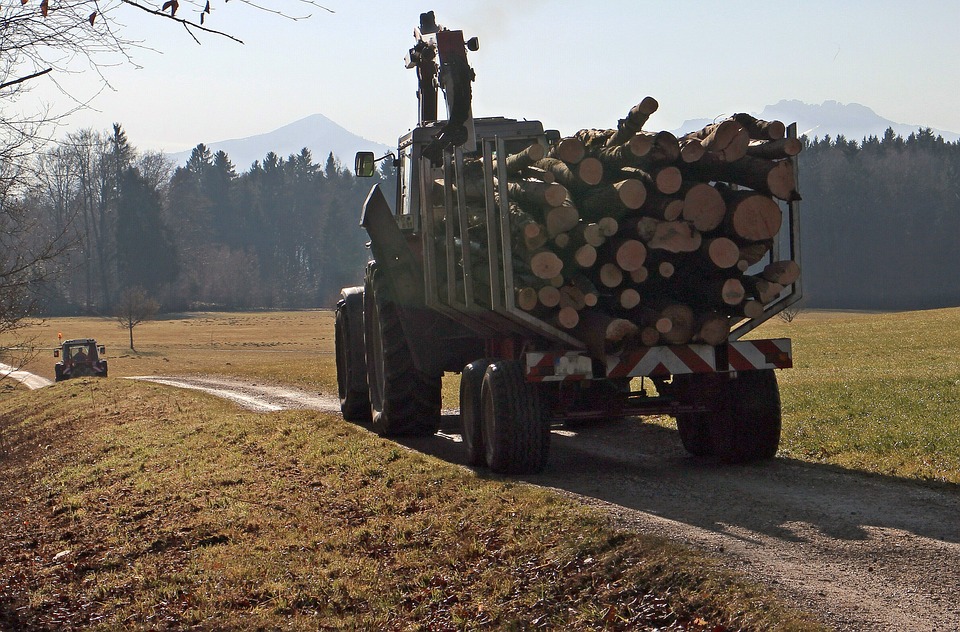 transporte de madera