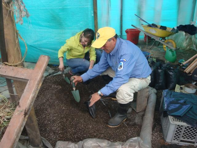 voluntario