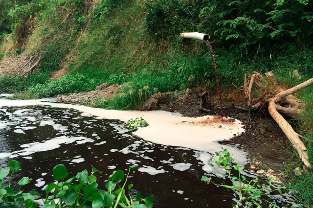 contaminacion cvc interaseo nota