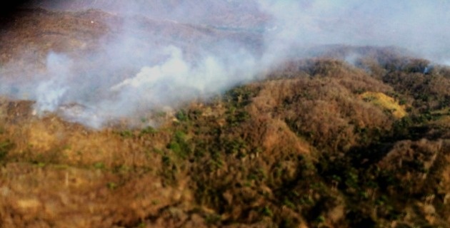 foto incendio sierra