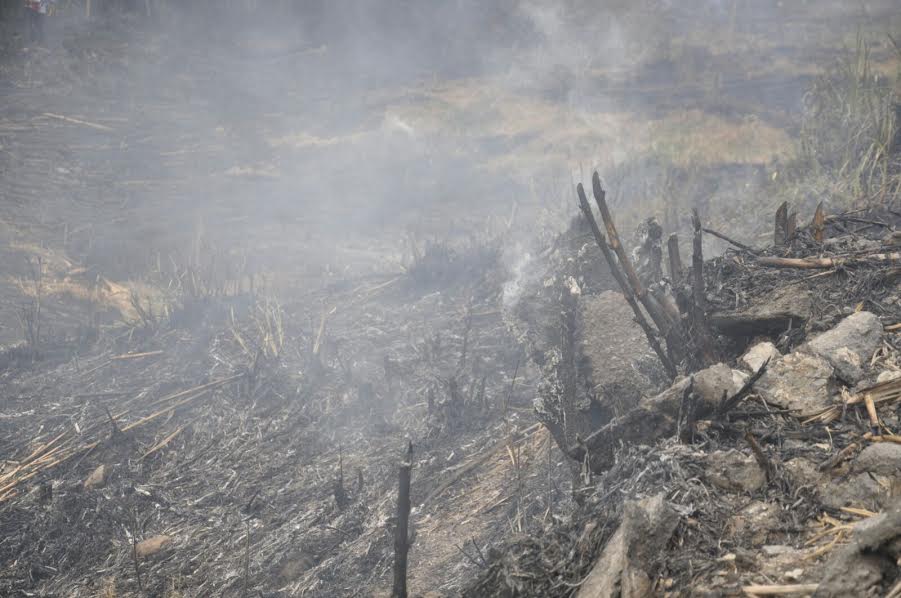 incendio rionegro2